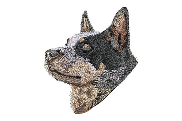 Australian Cattle Dog Embroidery Design Review